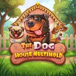 The Dog House Multihold game at DeeSpin Casino for Australia players The Dog House Multihold game at DeeSpin Casino for Australia players